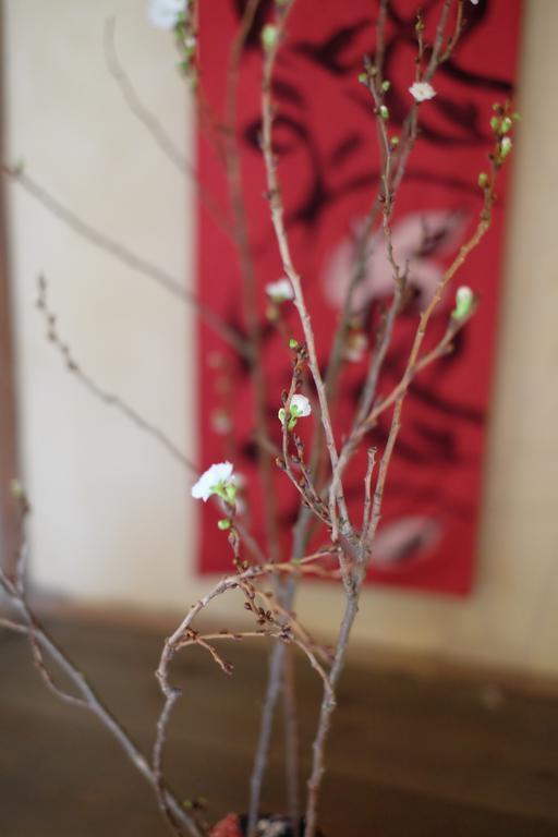 Kanazawa Tabi-Ne Kültér fotó